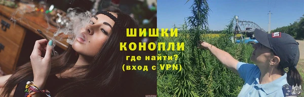 МДПВ Дмитров