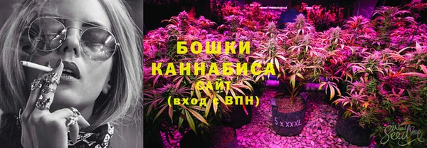 mdpv Ельня