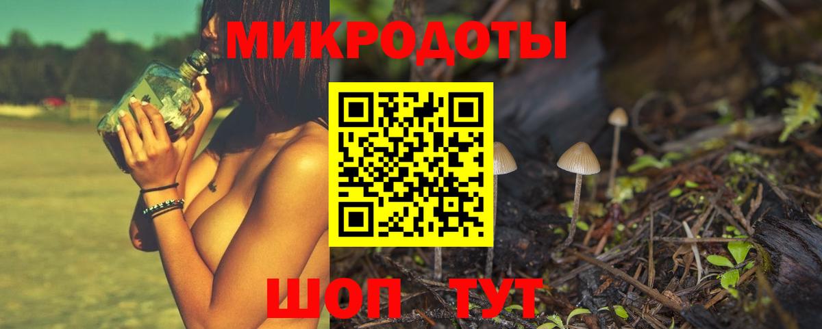 Галлюциногенные грибы прущие грибы Курчатов